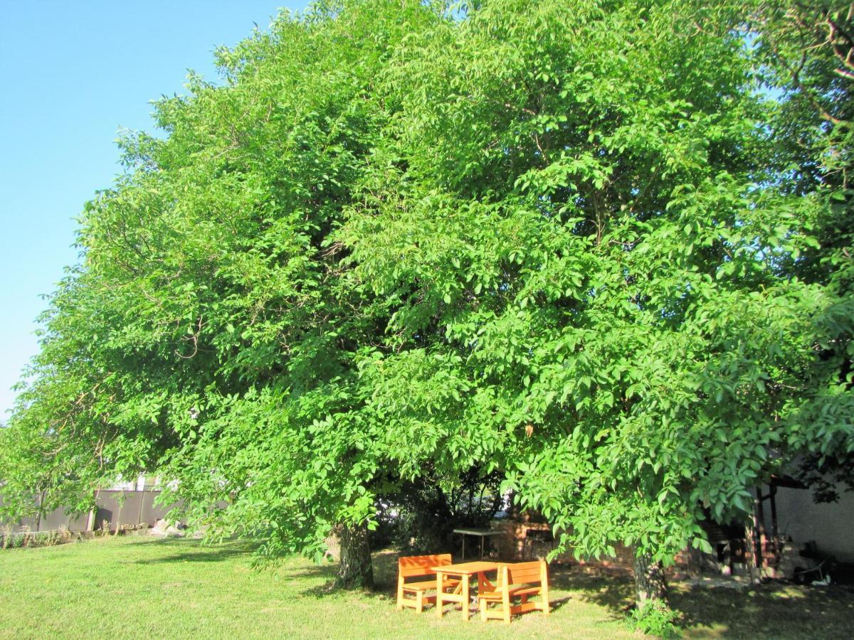 波斯托伊纳Pod Orehi住宿加早餐旅馆 外观 照片