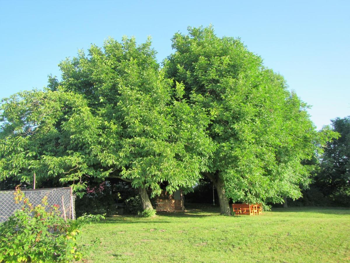 波斯托伊纳Pod Orehi住宿加早餐旅馆 外观 照片