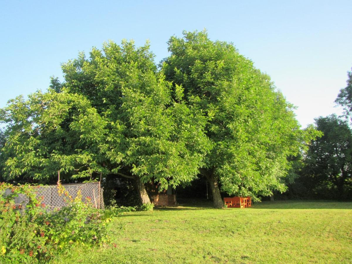 波斯托伊纳Pod Orehi住宿加早餐旅馆 外观 照片