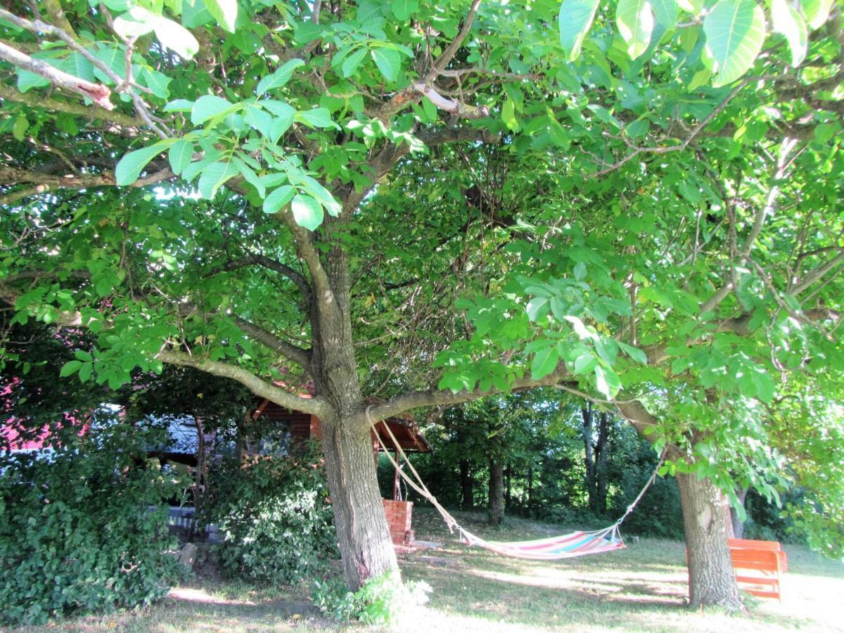 波斯托伊纳Pod Orehi住宿加早餐旅馆 外观 照片