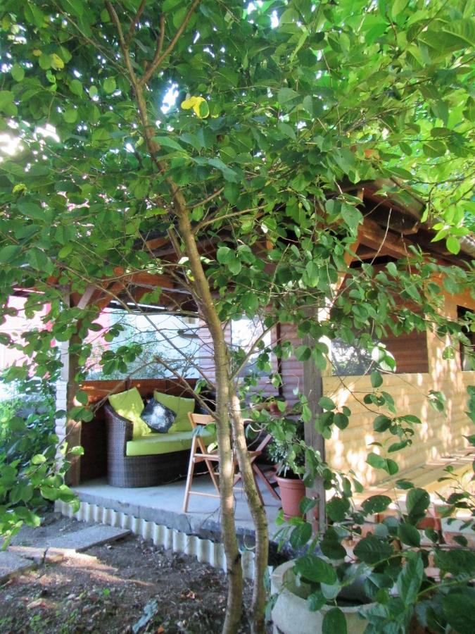 波斯托伊纳Pod Orehi住宿加早餐旅馆 外观 照片