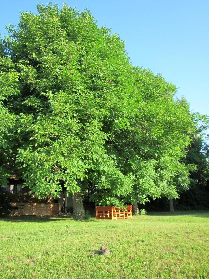 波斯托伊纳Pod Orehi住宿加早餐旅馆 外观 照片